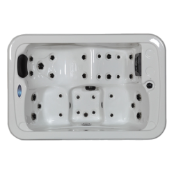 Коммерческий спа бассейн Delfi Spa Jemo